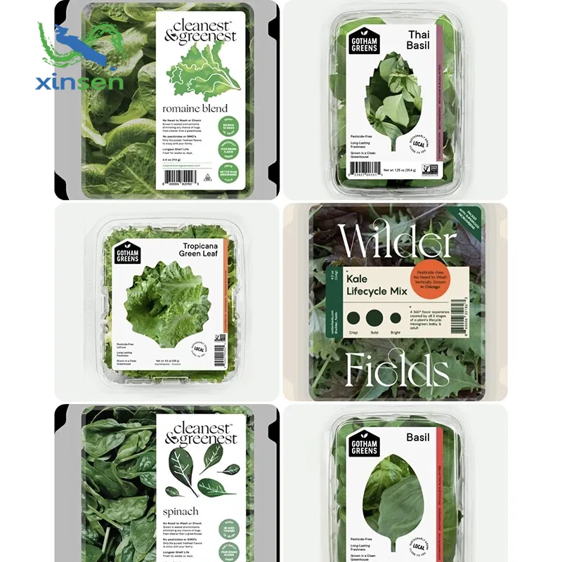 Xinsen Packaging introduces high-precision die-cutting and cutting technology for adhesive labels to improve the efficiency of terminal packaging delivery